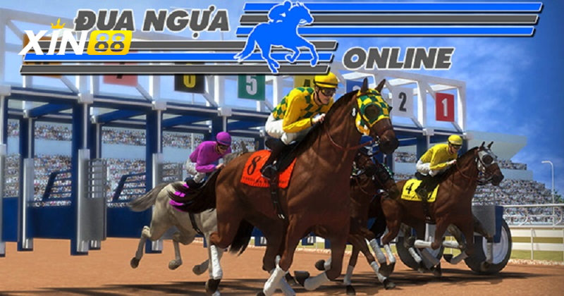 Chơi đua ngựa online - Thế giới sôi động cơ hội vàng để thắng lớn 3 Hướng dẫn cách chơi đua ngựa online chi tiết cho người mới