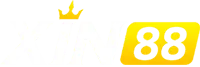 xin88bet.site