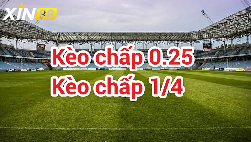 Mẹo cá cược kèo chấp 1/4 để nâng cao tỷ lệ thắng