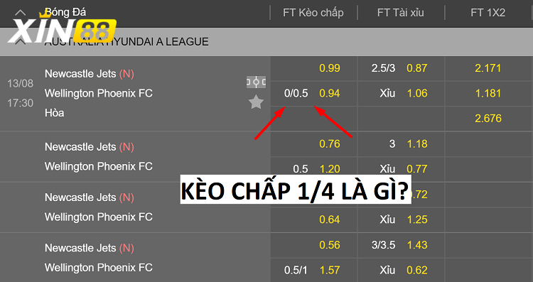 Vì sao nên ưu tiên kèo chấp 1/4 khi mới bắt đầu cá cược?